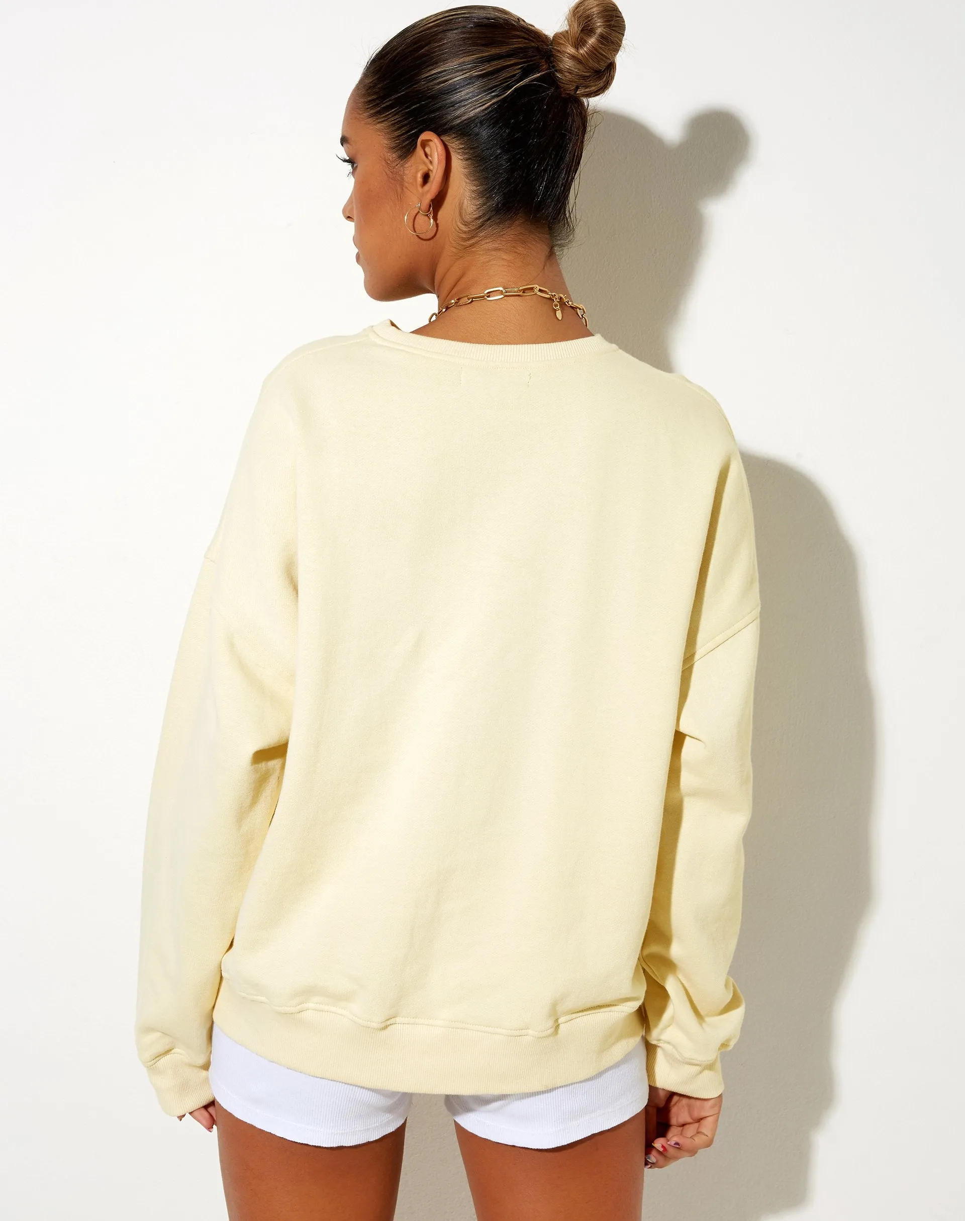 Ted Sweatshirt in Buttercream Vacay Embro